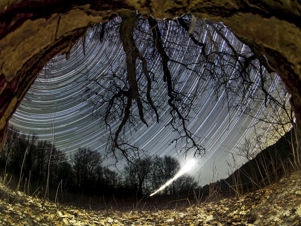 Мир глазами друида.