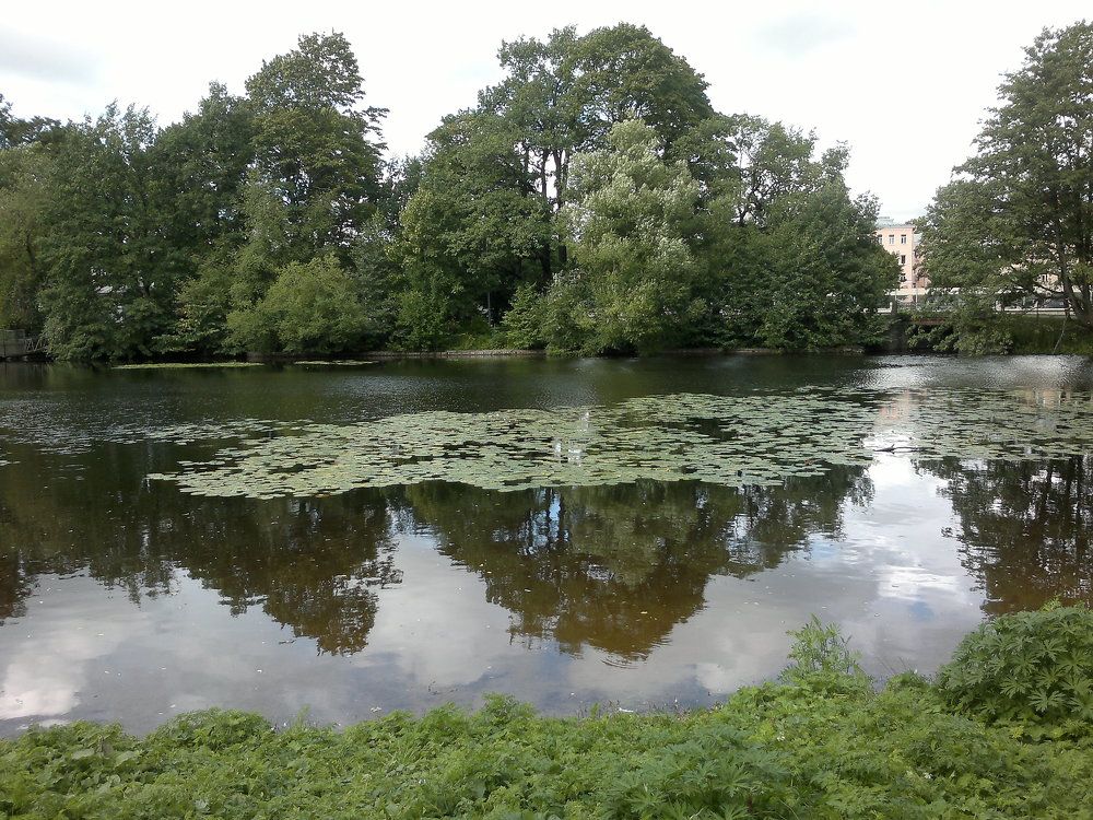 Photograph by Ольга Коркина