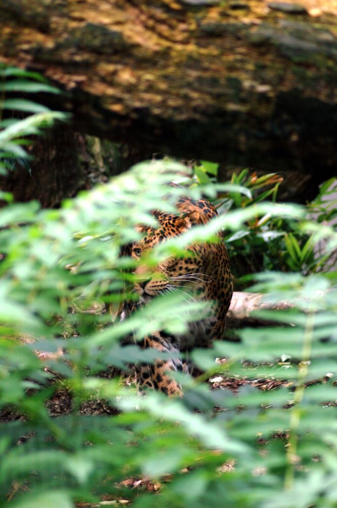 Photograph by Krzysztof Bozalek