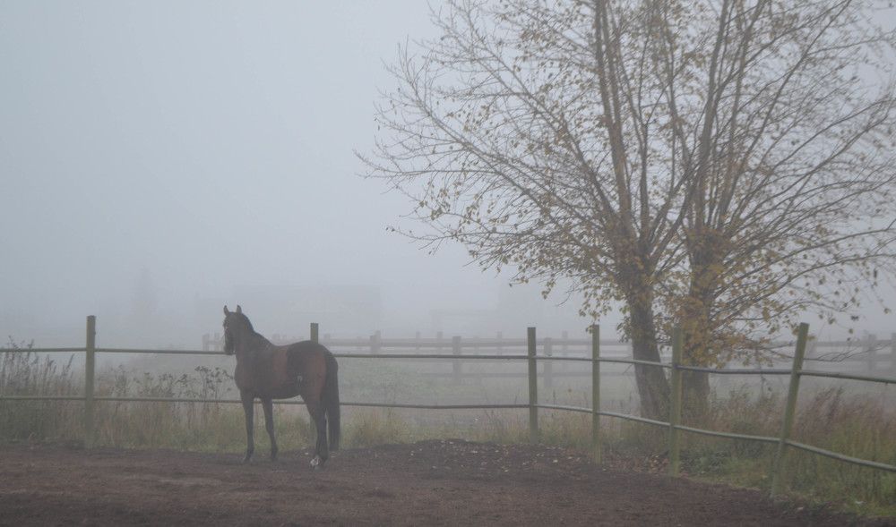 Photograph by Евгения Антропова