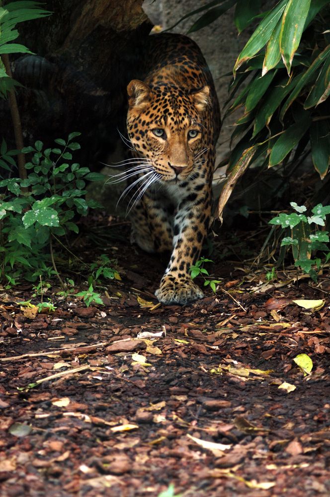 Photograph by Krzysztof Bozalek