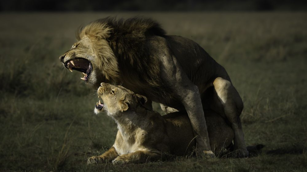 Photograph by Vignesh Ramachandran