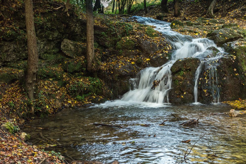 Photograph by Krzysztof Bozalek