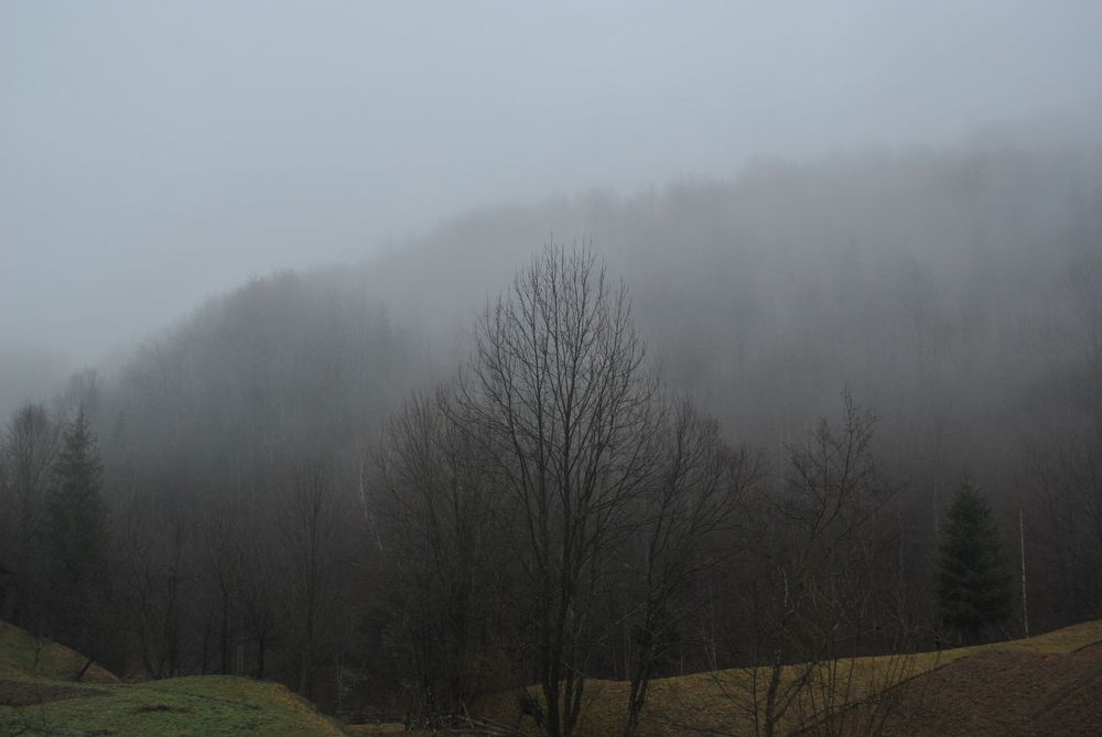 Фотография автора Алексей Воронкин