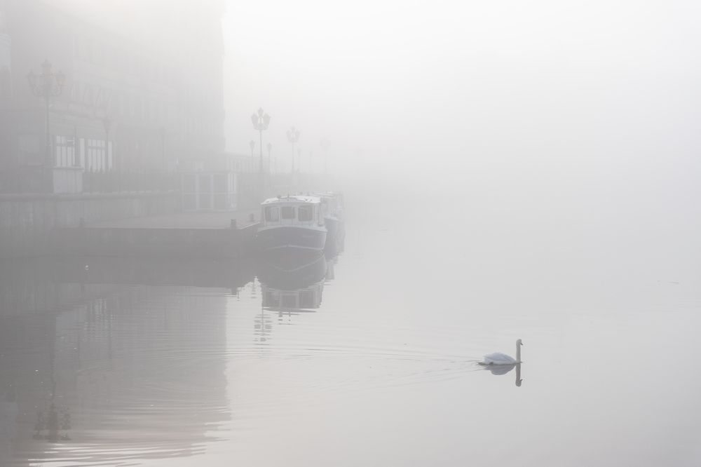 Photograph by Людмила Комарова