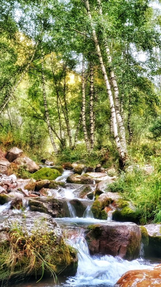 Фотография автора Иван