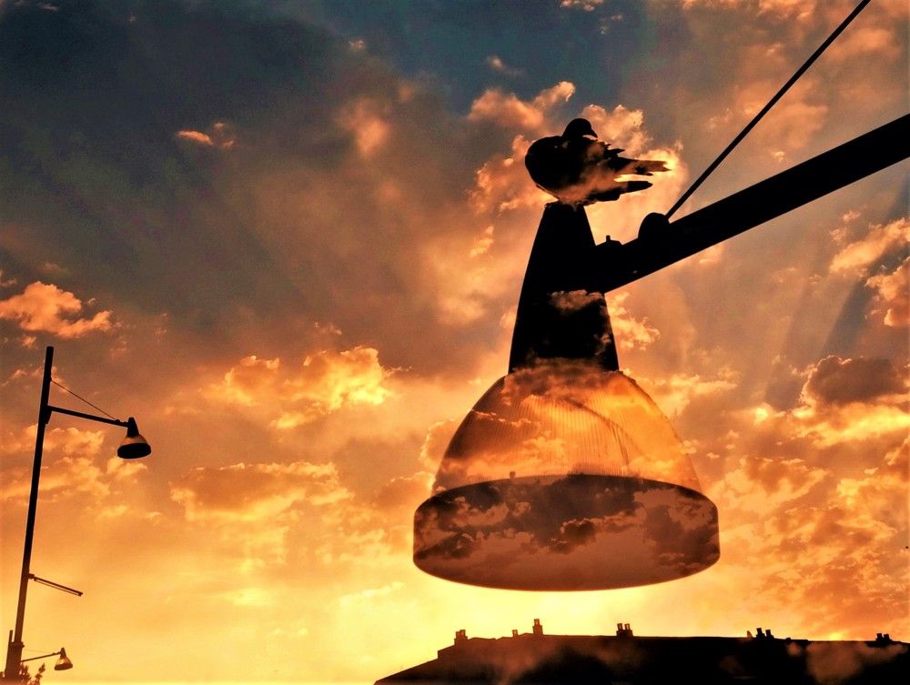 Photograph by UWE SÜSSMANN