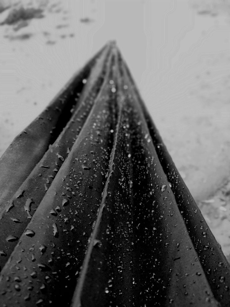 Black and white