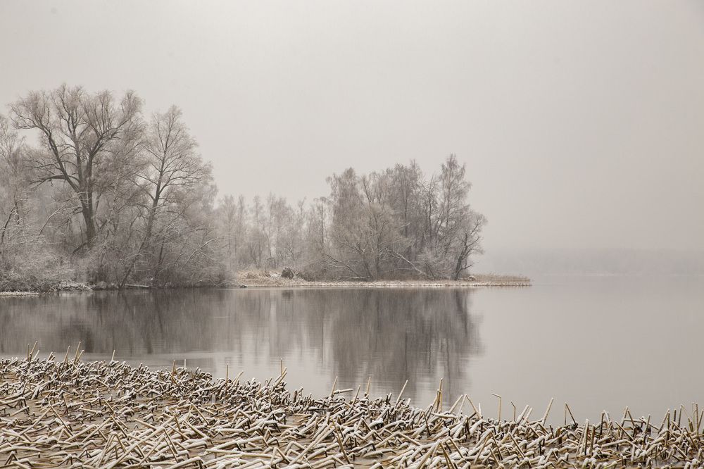 Photograph by Наталия
