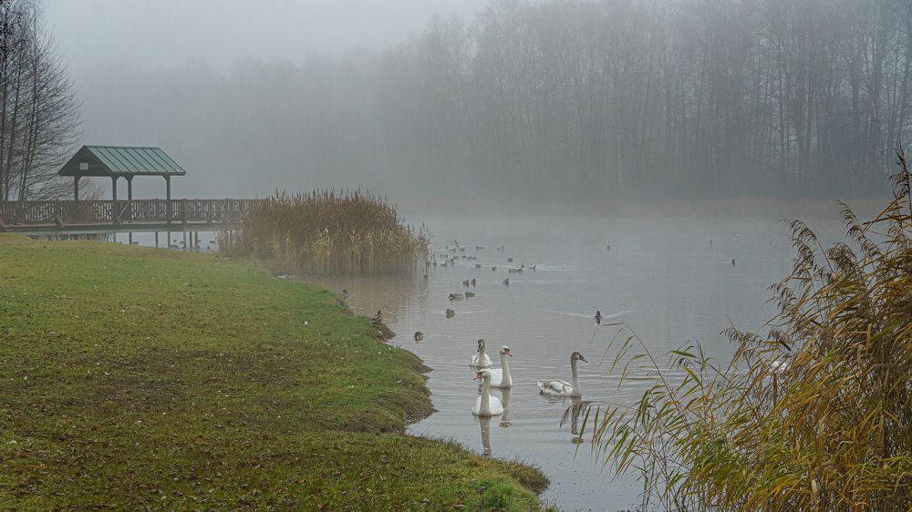 Photograph by Valdis Serzhans