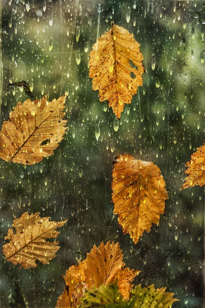 Photograph by Алена