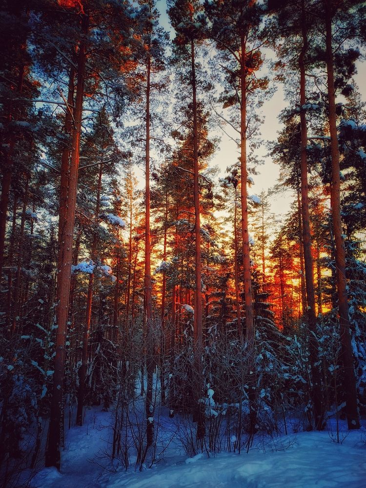 Photograph by Jekaterina Smolicka