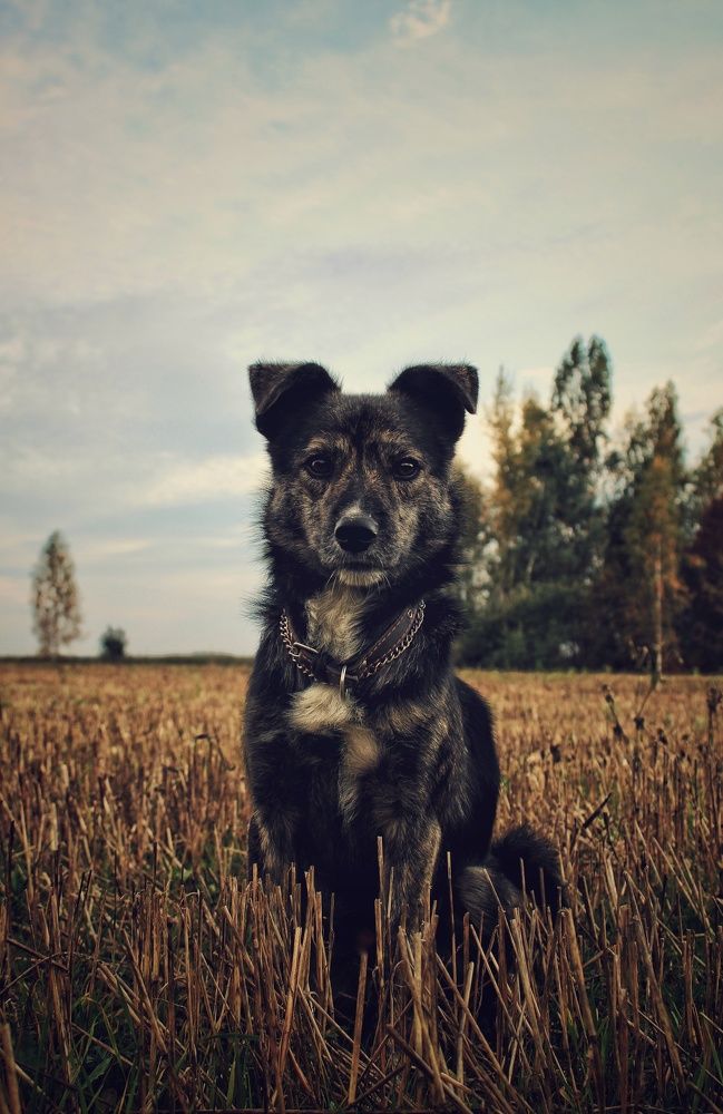 Photograph by Виктория