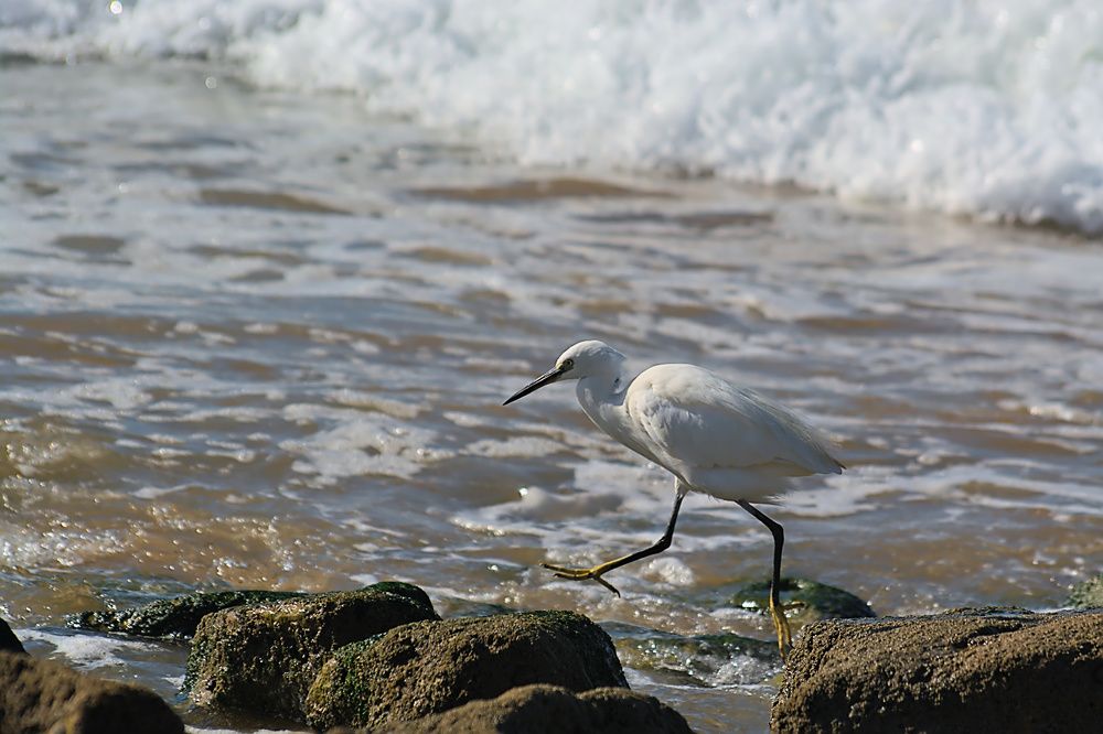 Photograph by Moulay Ahmed KASSI
