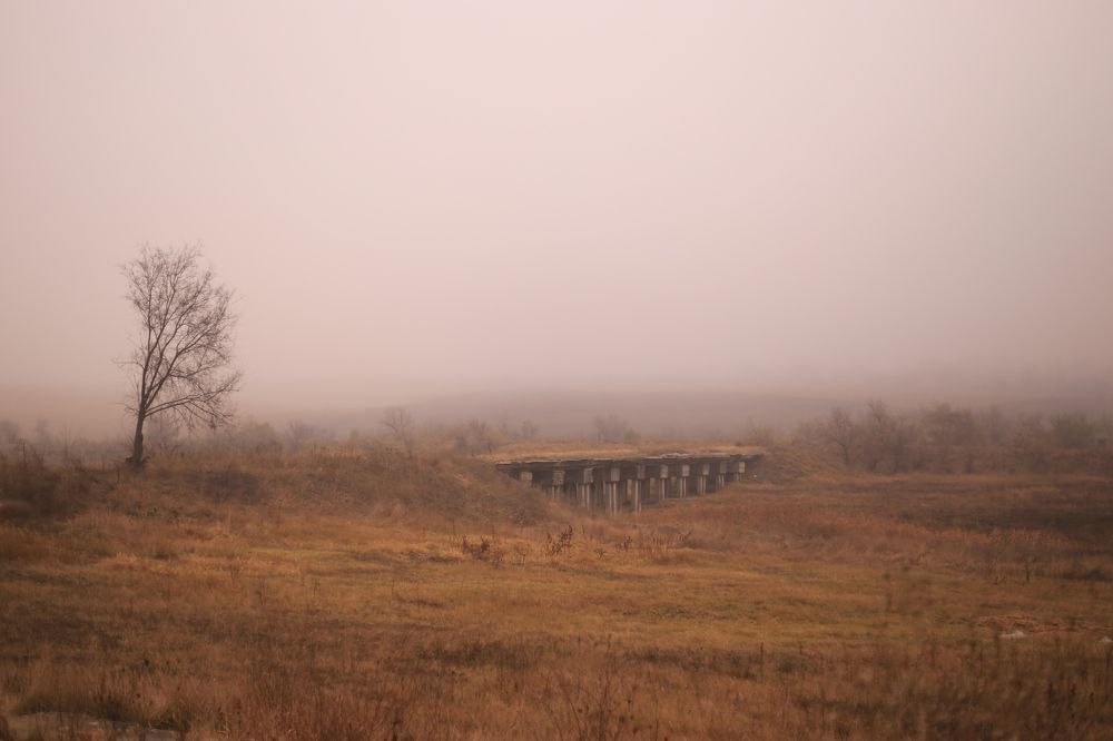 Photograph by Petru Cliofos