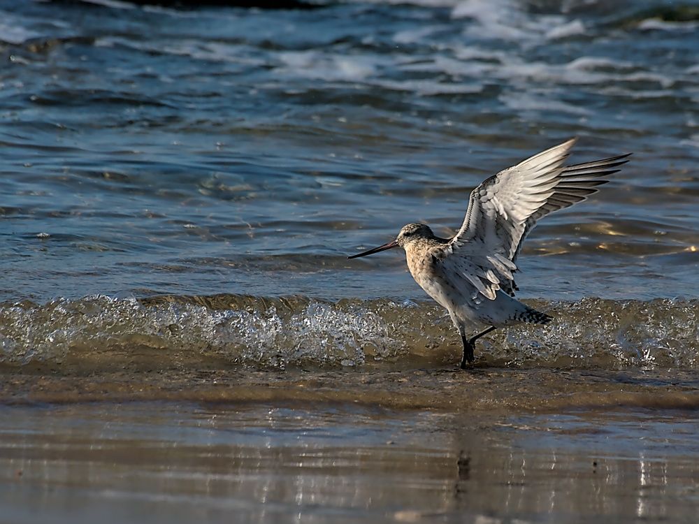 Photograph by Moulay Ahmed KASSI