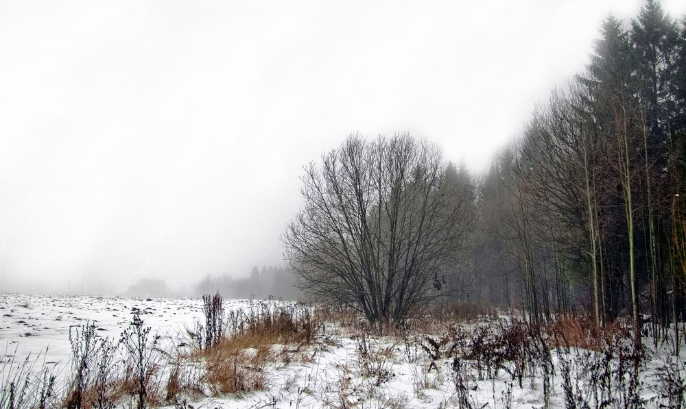 Растворюсь в туманной дали