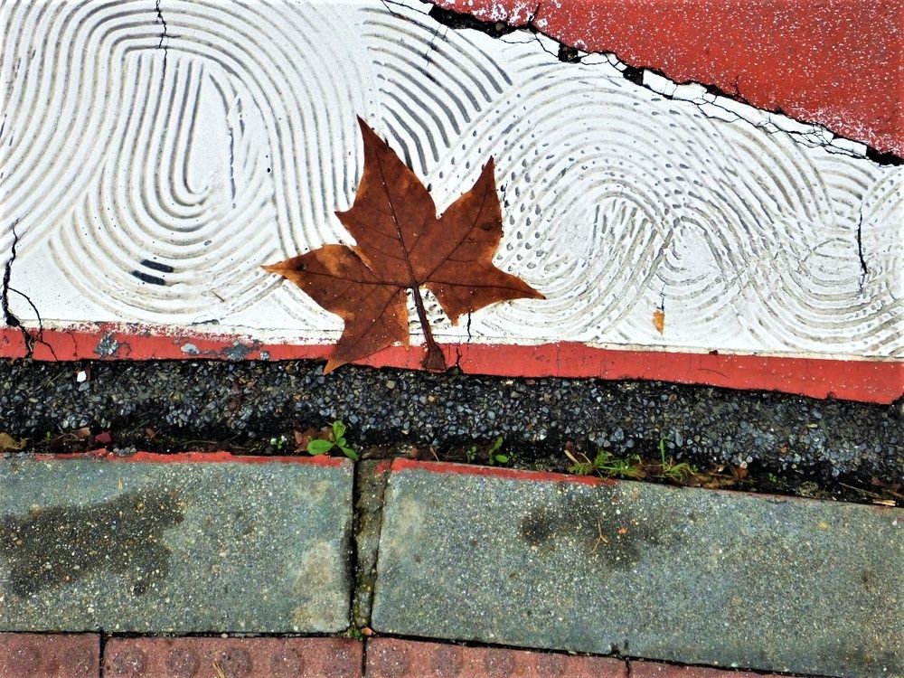 Photograph by UWE SÜSSMANN