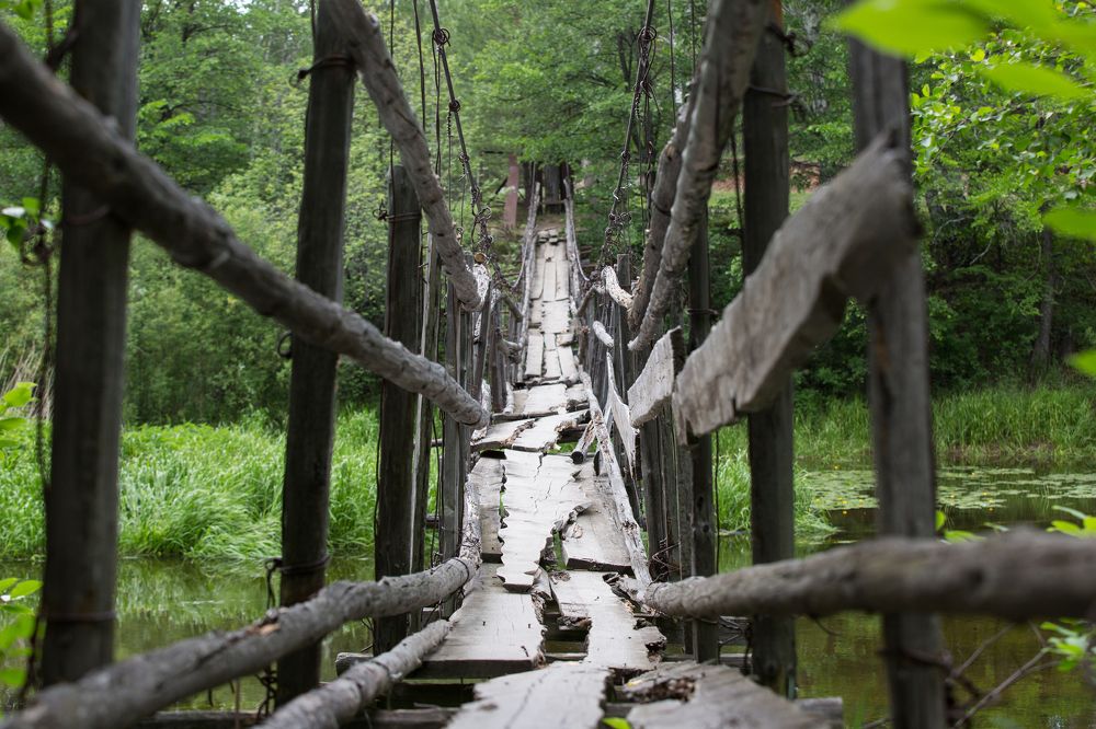 Photograph by Фирдаус Карипова