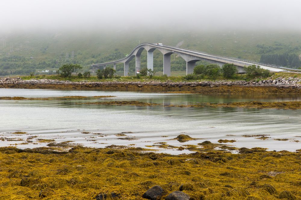 Photograph by Фирдаус Карипова