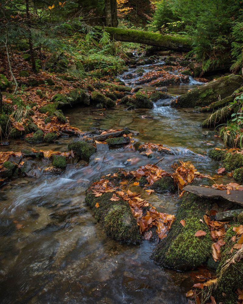 Photograph by Krzysztof Bozalek