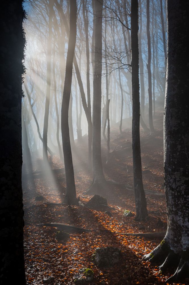 Photograph by Наталья Файчук