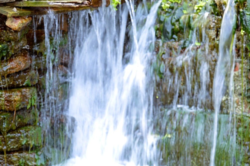 Photograph by Ольга Шевцова