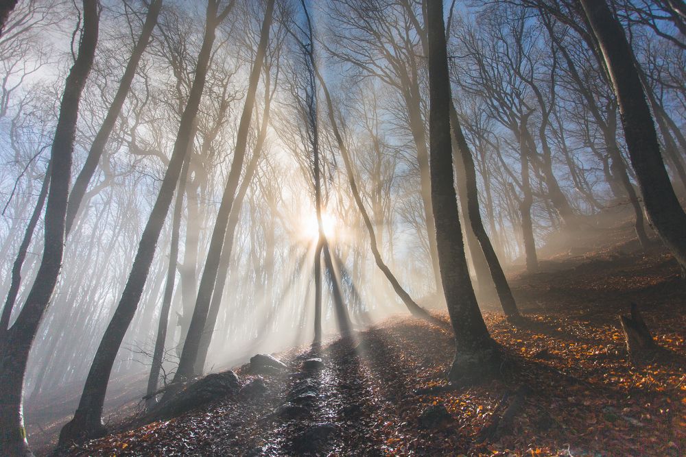 Photograph by Наталья Файчук