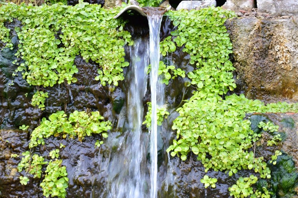 Photograph by Ольга Шевцова