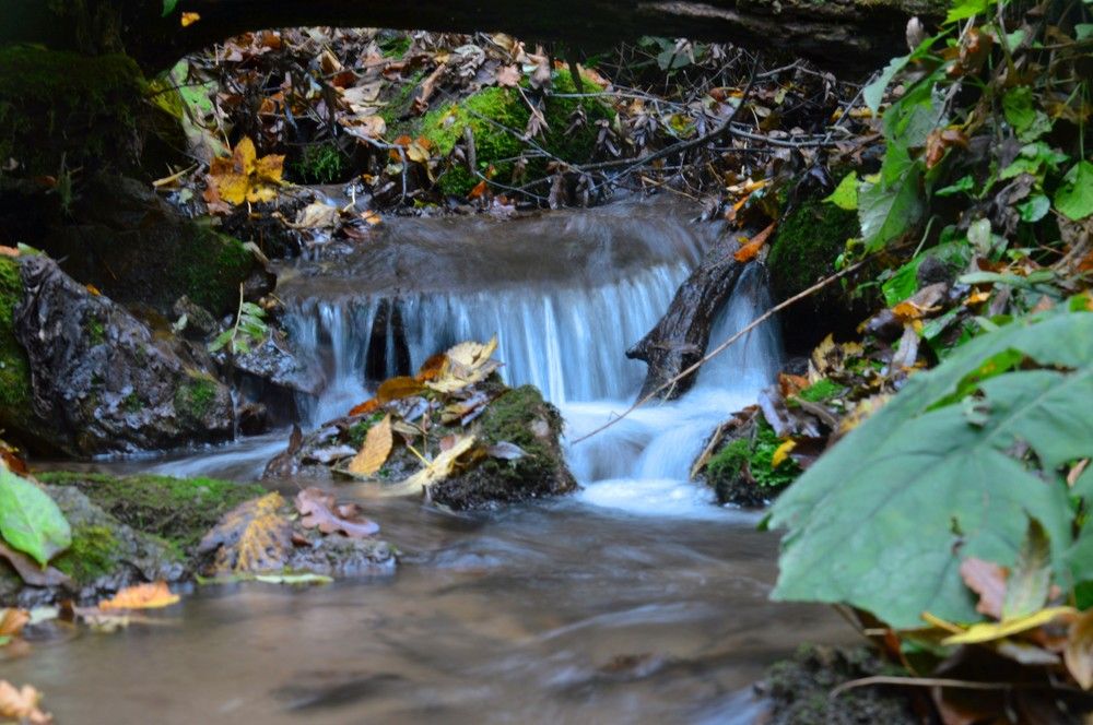 Photograph by Ольга Шевцова