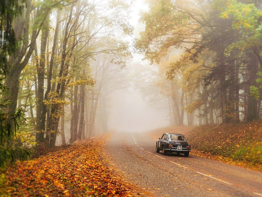 Photograph by Taher Wafa