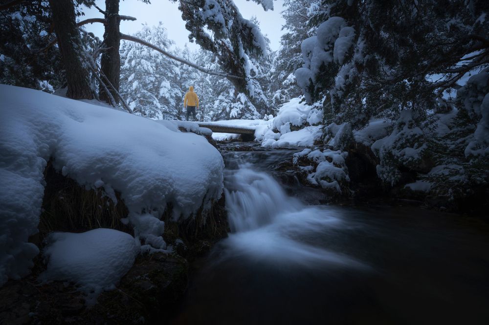 Photograph by Sergio Diaz