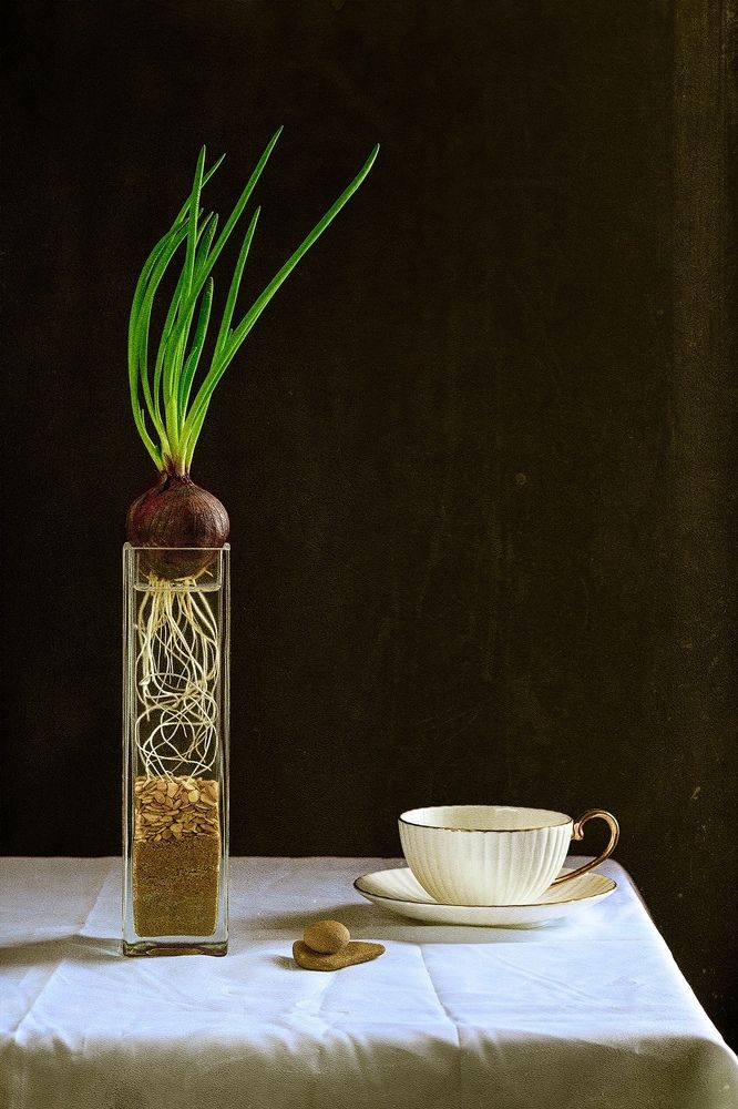 Photograph by Владимир Симакин