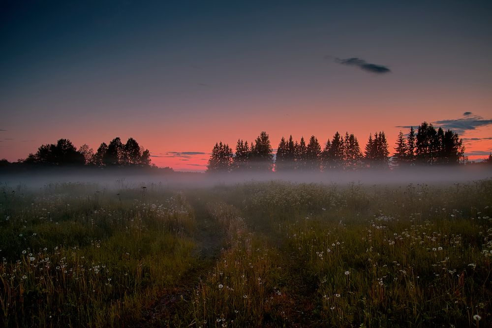 Photograph by Александр Семёнов