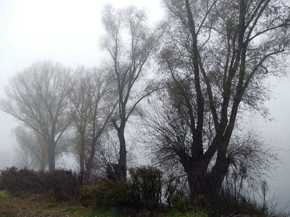 Фотография автора Dubravko Maricic