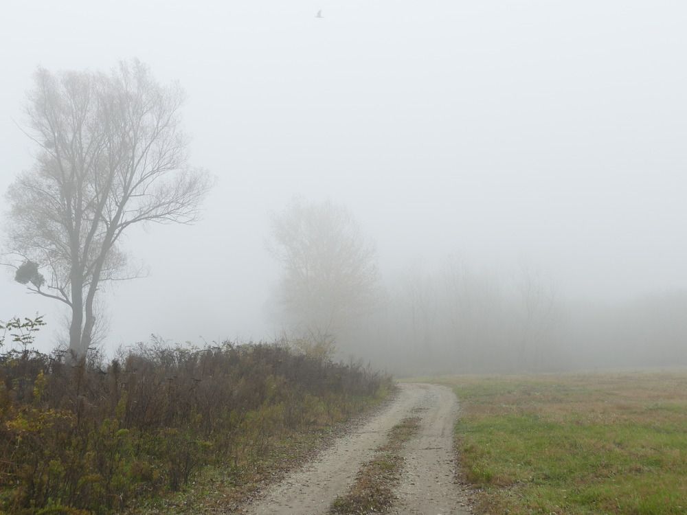 Фотография автора Dubravko Maricic