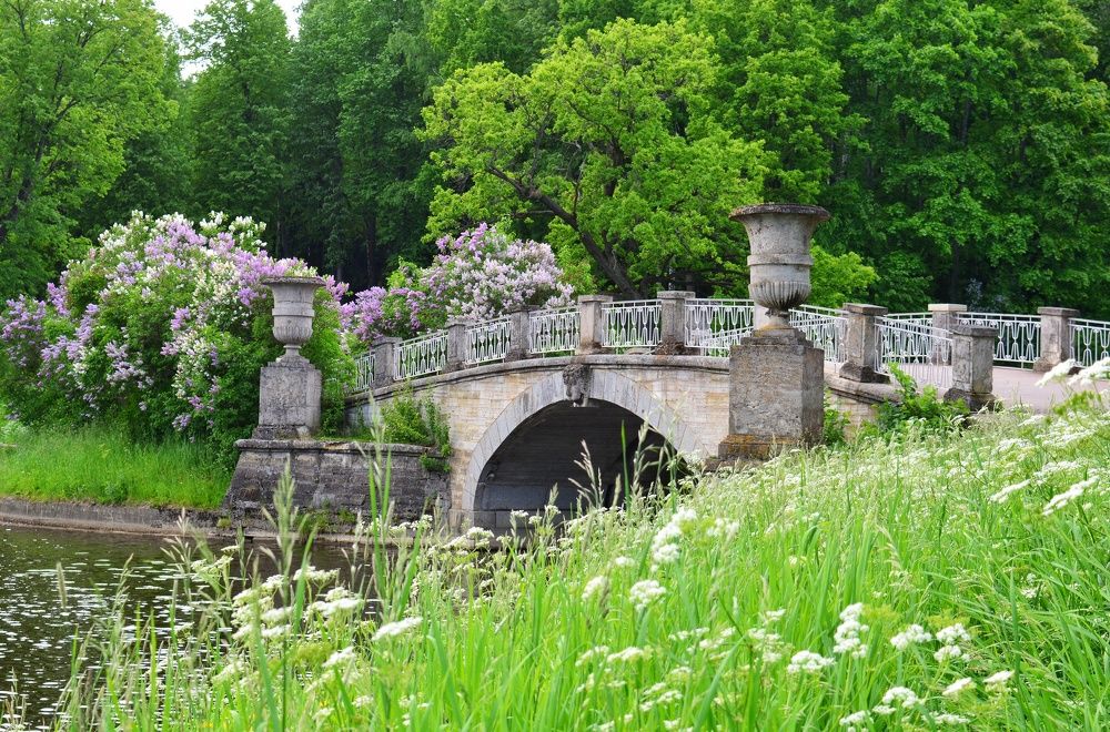 Мостики Павловска.