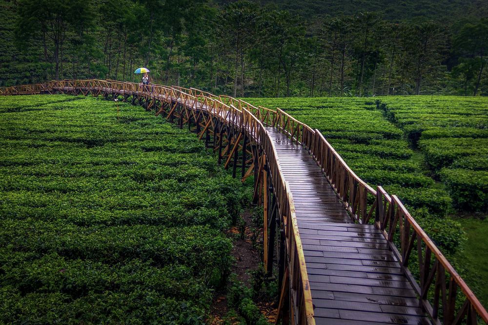 Photograph by Maulana Akbar