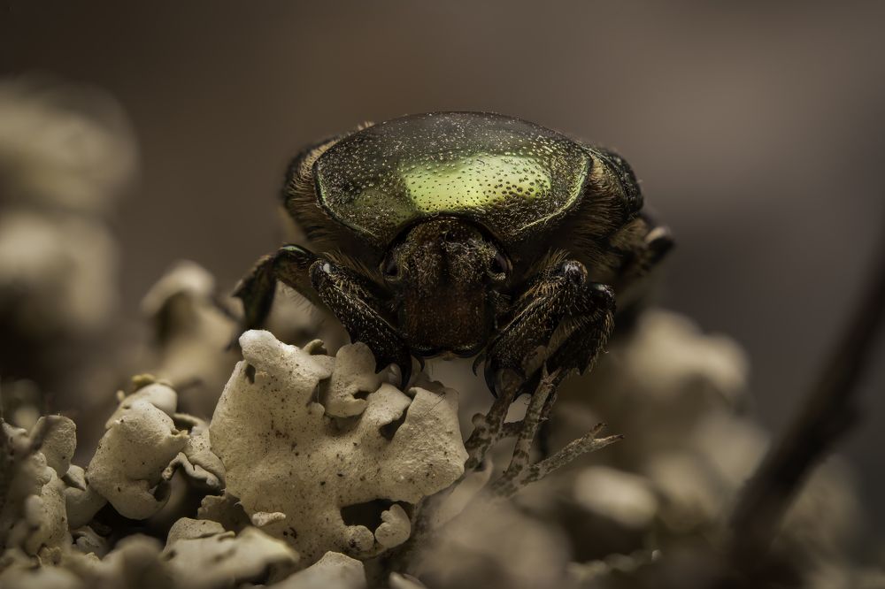 Photograph by Dejan Sajkovski