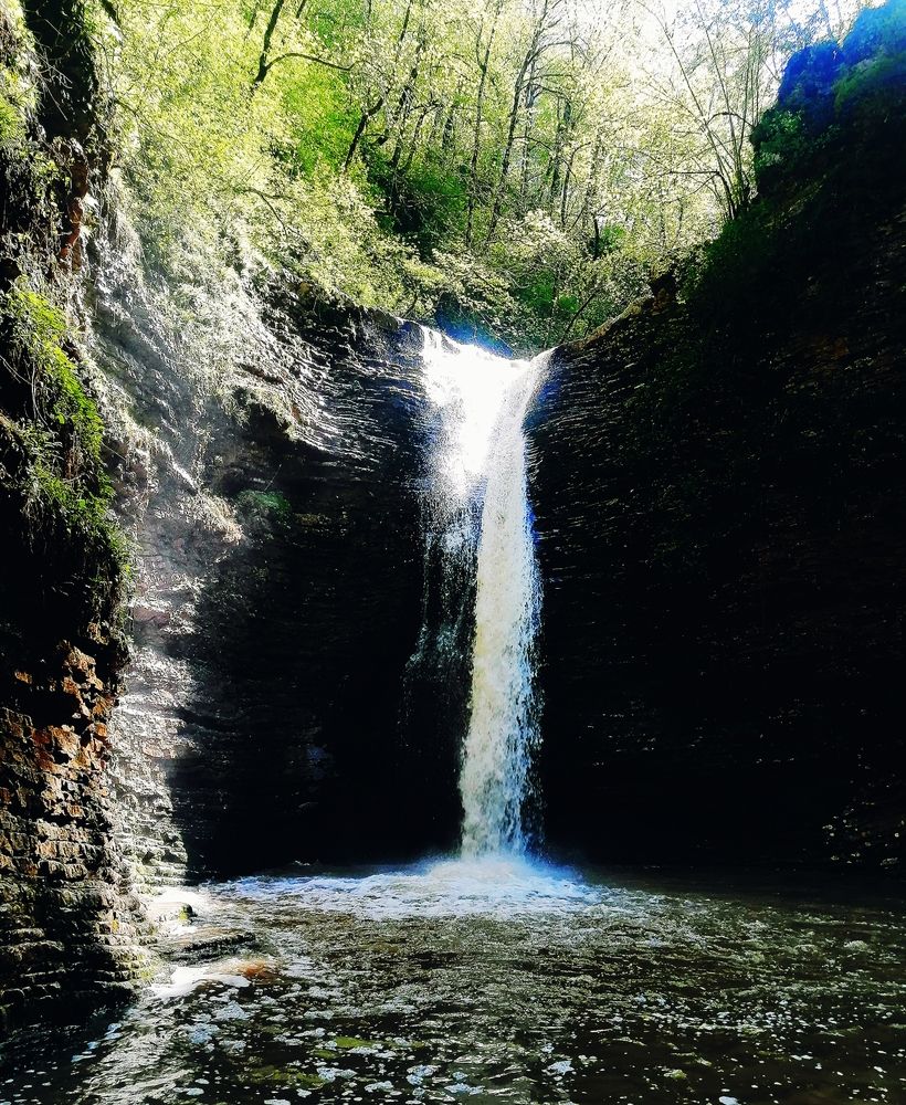 Photograph by Елена Лепешкина