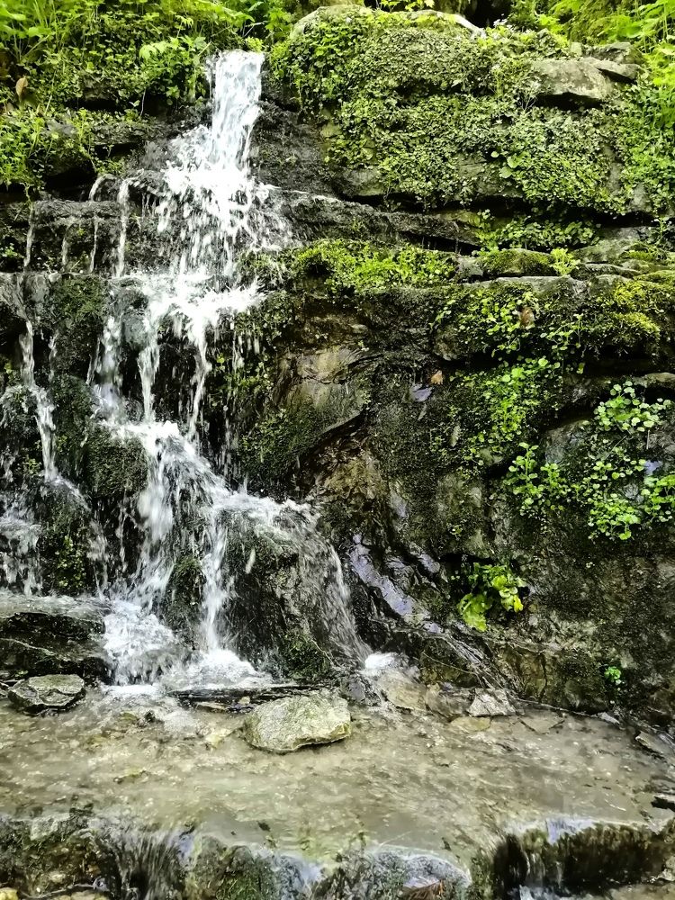 Photograph by Елена Лепешкина