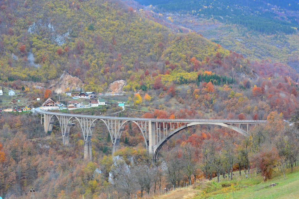 Photograph by Анатолий Орлов