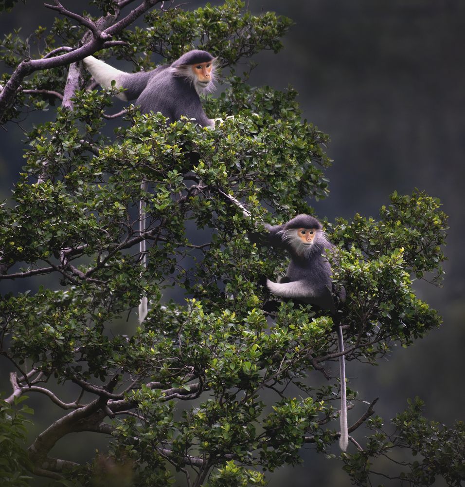 Photograph by Nguyen Duc Hoang