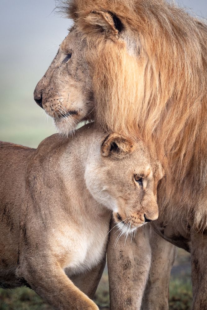 Photograph by Ali Khataw