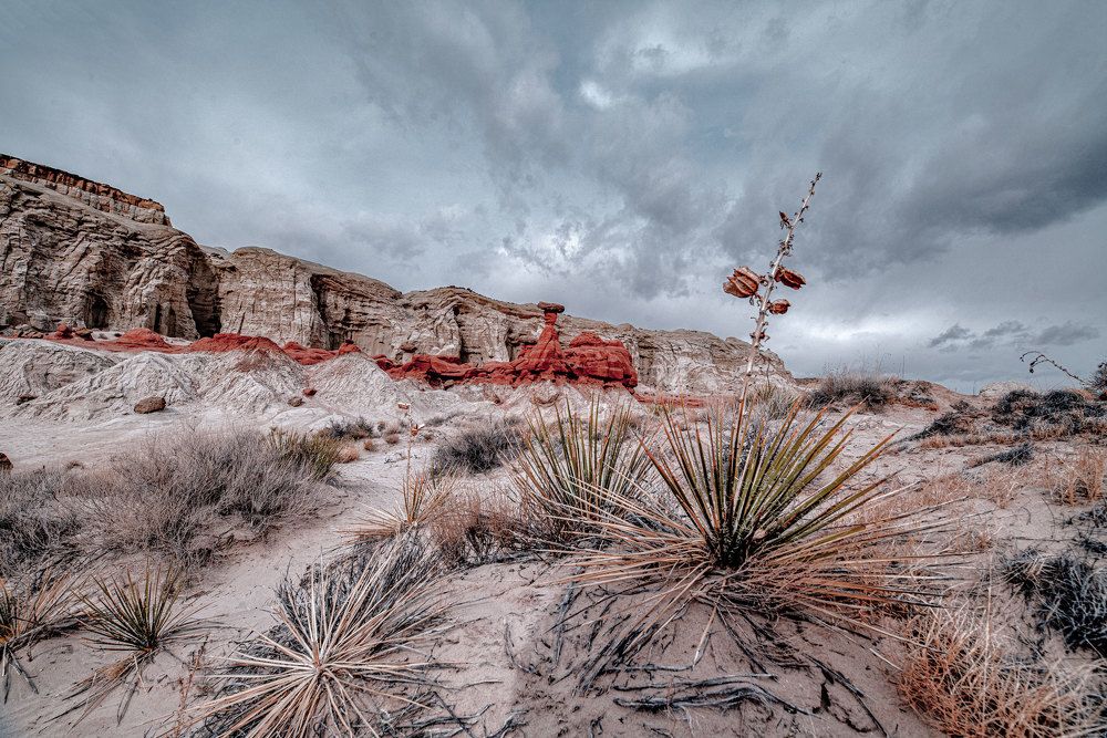 Фотография автора andrey gagarin