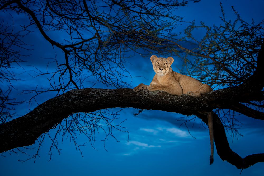 Photograph by Ali Khataw