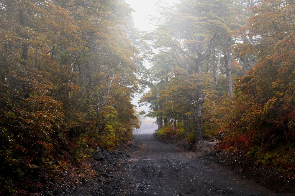 Photograph by Gonzalo Jorge Eduardo MARÓN
