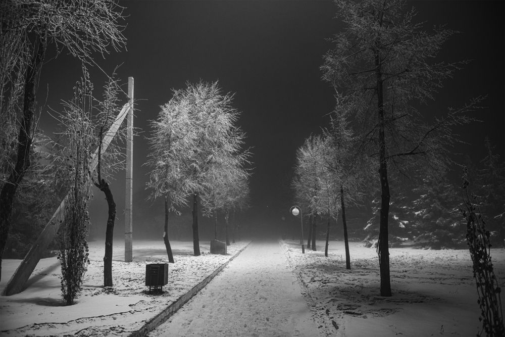 Photograph by Александр БАРДЕНЦЕВ