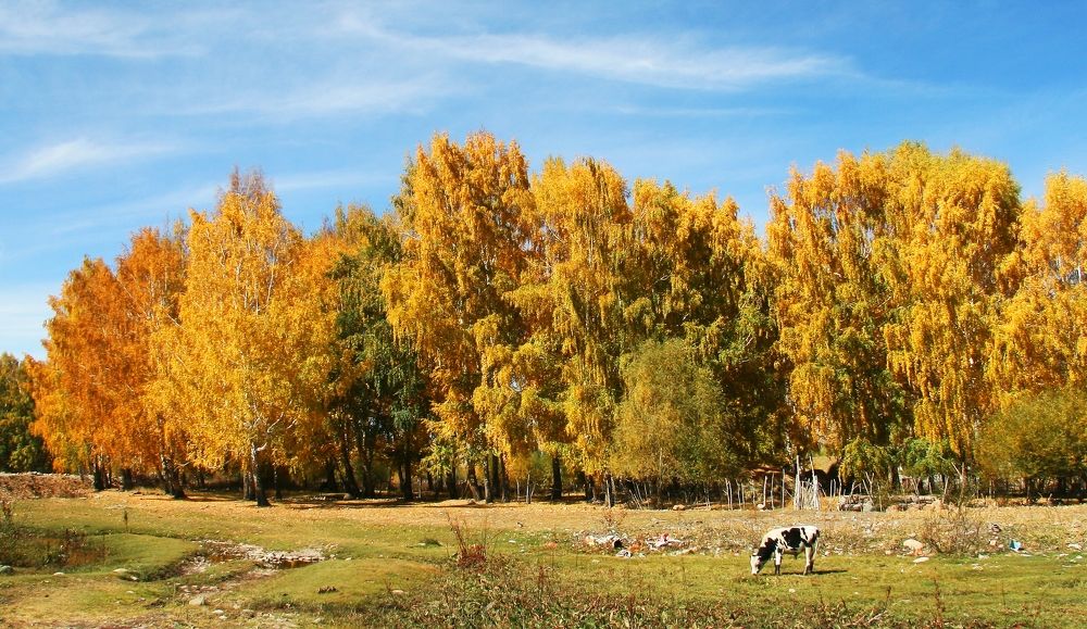 Бабье лето.