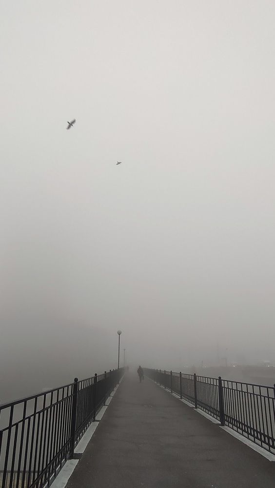 Photograph by Виктор Поздняк